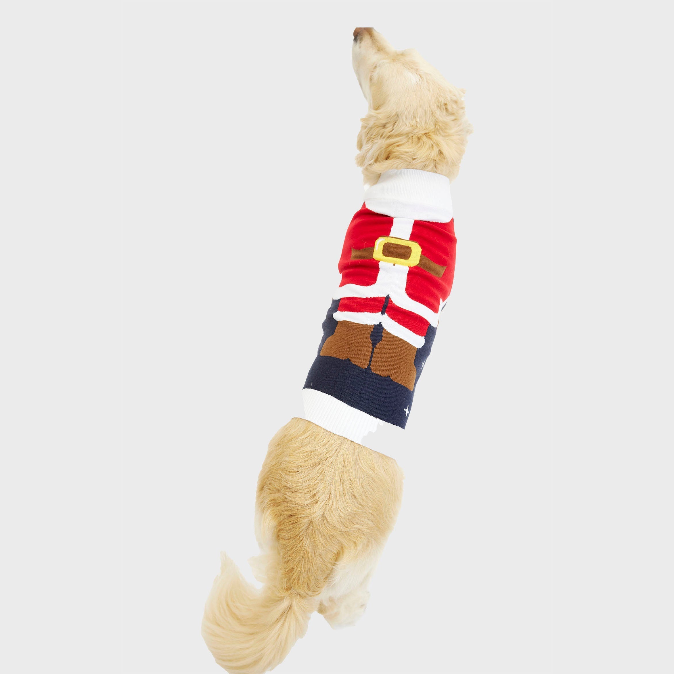 Little helper Pull de Noël pour chien
